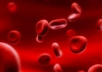 Anemia Autoimmune gatto cane