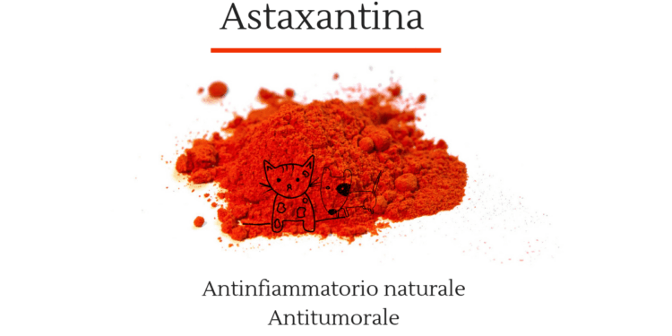 Astaxantina cane gatto