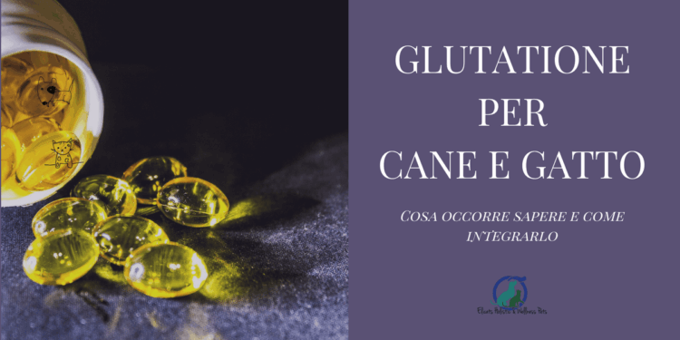 Glutatione per gatto e cane