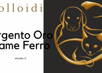 Colloidi: Argento Oro Rame Ferro per Gatto Cane