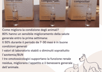 protocollo Heel gatto cane