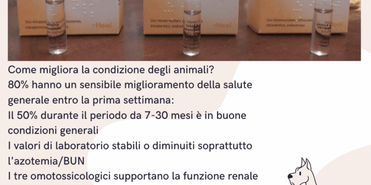 protocollo Heel gatto cane