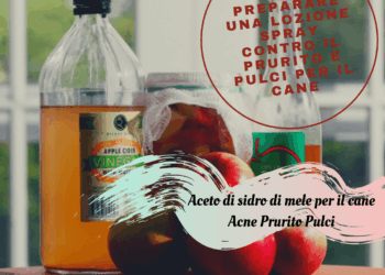 Aceto di sidro di mele per il cane