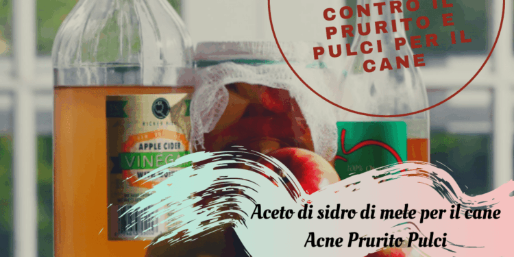 Aceto di sidro di mele per il cane