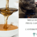 Miele di Manuka per il cane e gatto