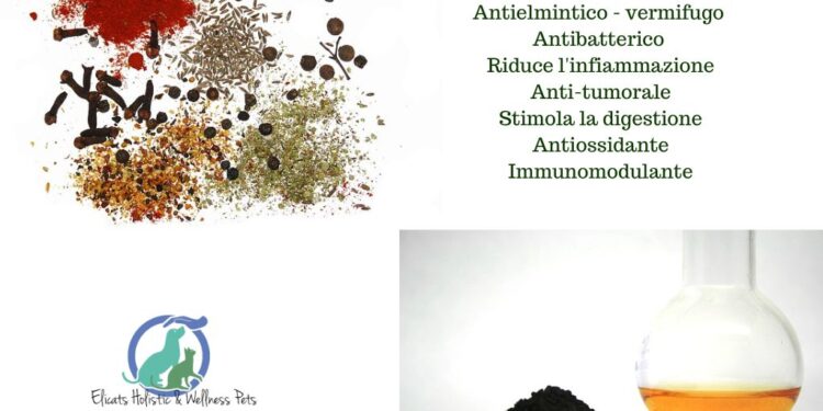 Olio di cumino nero cane