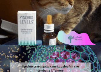 Tumore fegato gatto aspettative di vita