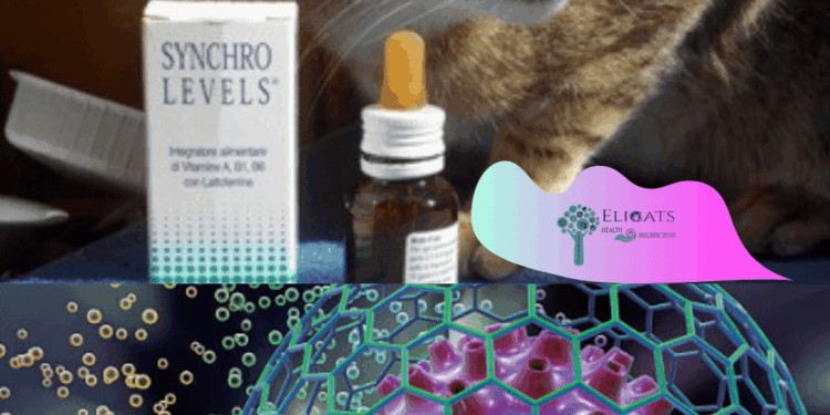 Tumore fegato gatto aspettative di vita