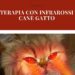 infrarossi cane gatto