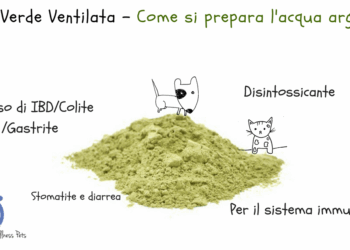 Argilla verde ventilata per cane