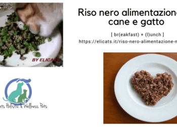 Riso nero alimentazione nel cane e gatto