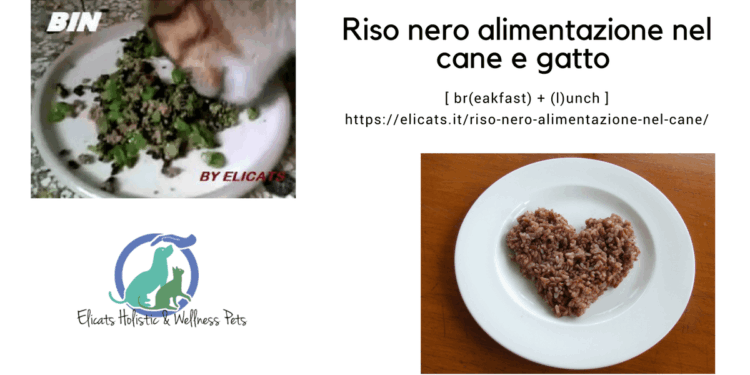 Riso nero alimentazione nel cane e gatto