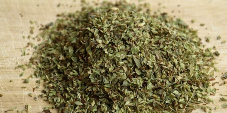 Olio di origano antibiotico naturale