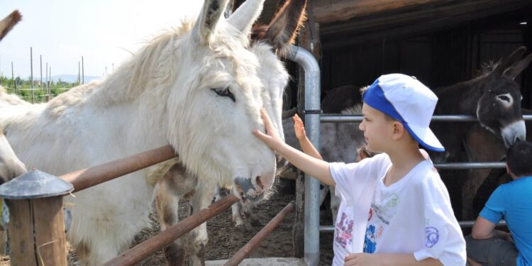vaccino naturale colostro asina