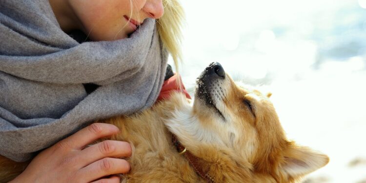 Reiki per il cane