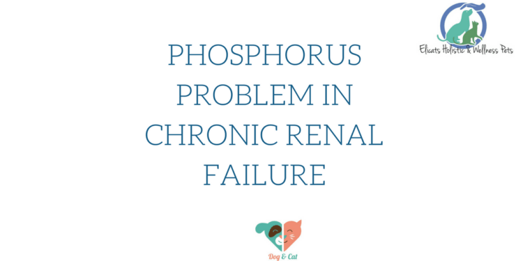 Phosphorus problem in chronic renal failure