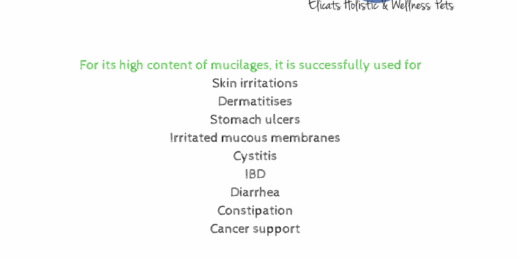 Slippery Elm for cats and dogs what is it for?