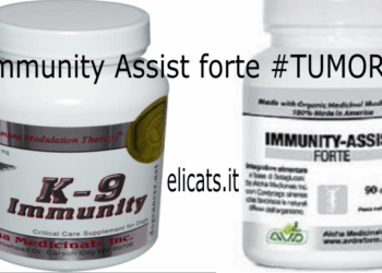 Cane con tumore Micoterapia