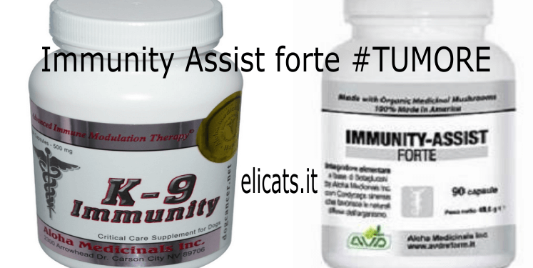 Cane con tumore Micoterapia