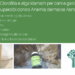 Clorofilla e alga klamath per cani e gatti