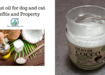 Coconut oil for dog and cat