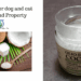 Coconut oil for dog and cat