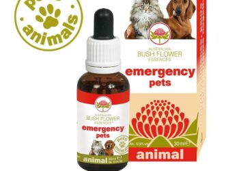 Fiori australiani cane gatto