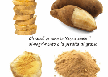 Gli studi ci sono lo Yacon aiuta il dimagrimento e la perdita di grasso
