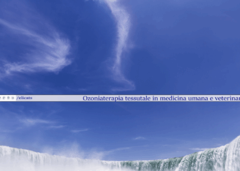 olio di girasole ozonizzato