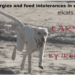 Allergies and food intolerances in dogs