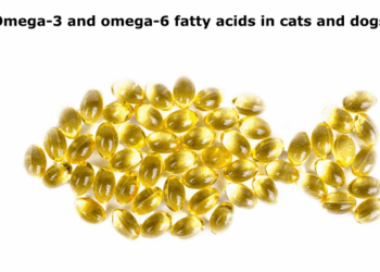 Omega-3 and omega-6 fatty acids in cats and dogs