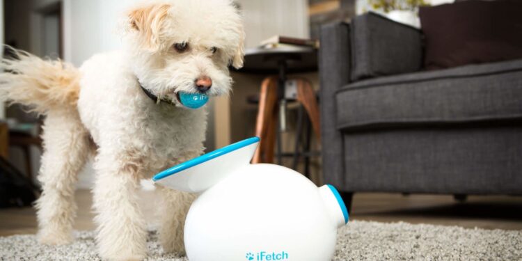 Lanciapalline Automatico per Cani