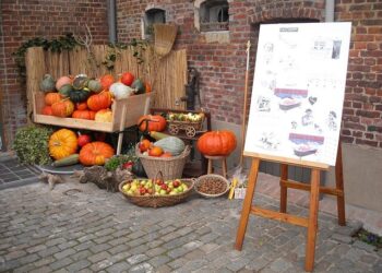 Quanta zucca dare al gatto? Tutti i benefici in ciotola!