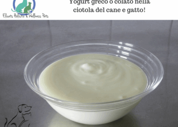 yogurt greco