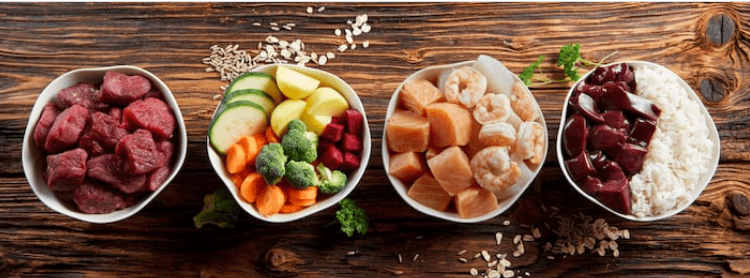 PEW malnutrizione gatto insufficienza renale