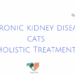 Chronic kidney disease cats