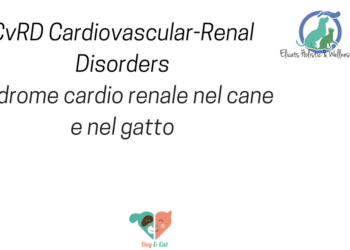 CvRD Cardiovascular Renal Disorders