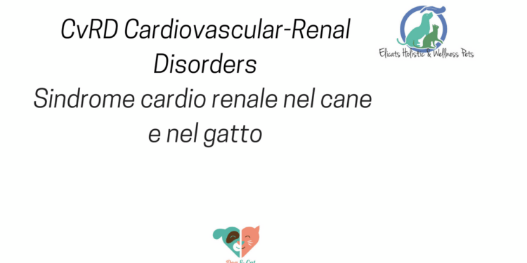 CvRD Cardiovascular Renal Disorders