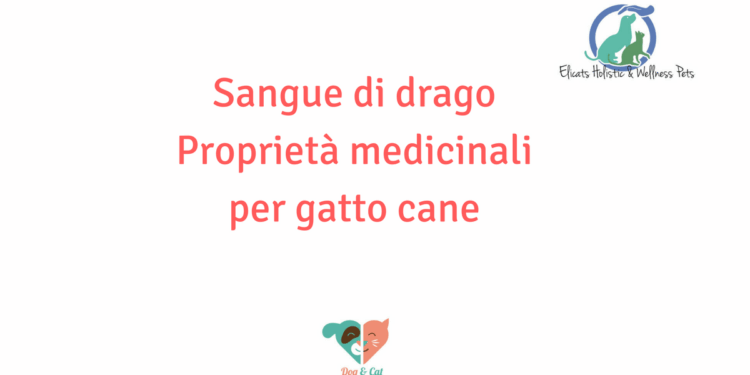 Sangue di drago cane gatto