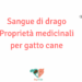 Sangue di drago cane gatto