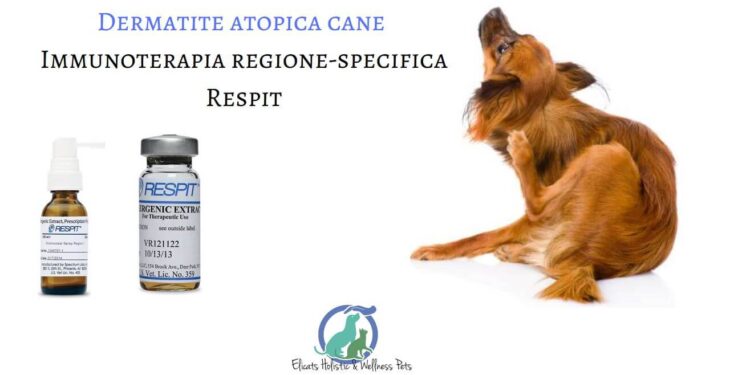 Immunoterapia nelle dermatiti del cane e gatto