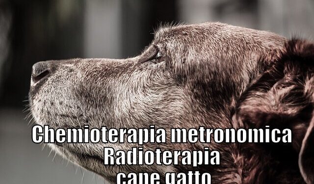 Chemioterapia metronomica