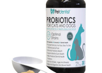 probiotici gatto cane