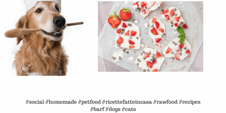 Frozen Yogurt Bark per il cane [Ricetta]