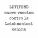 Letifend nuovo vaccino contro la Leishmaniosi canina