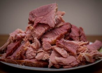 Manzo e riso di Venere allo zenzero fagiolini e piselli per il cane