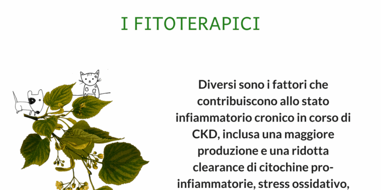 Ruolo Stress ossidativo nell'insufficienza renale gatto