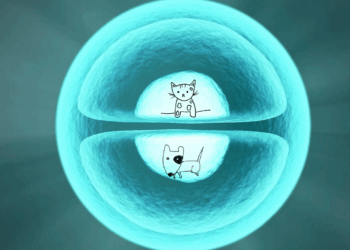 Medicina ortomolecolare in veterinaria