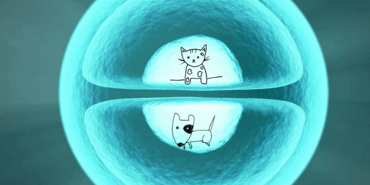 Medicina ortomolecolare in veterinaria