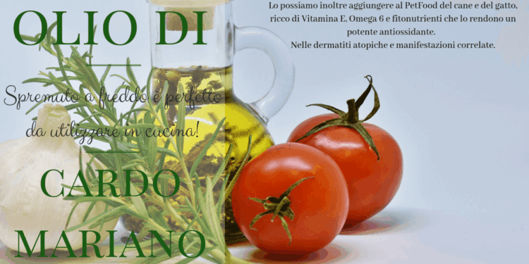 olio cardo mariano